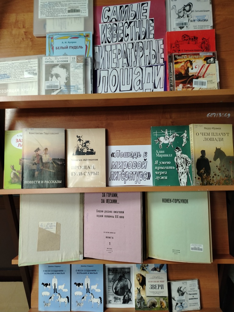 январь 2026.jpg