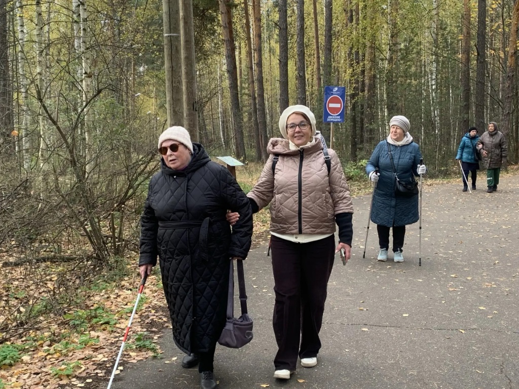 читатели гуляют по лесу